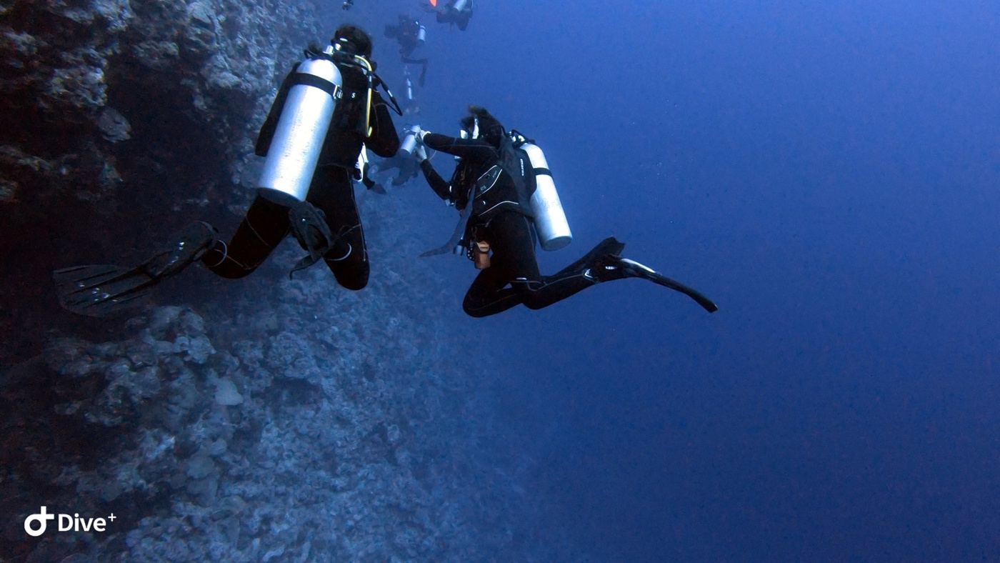 img-4244---ocean-diving