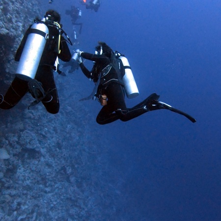 Potapljanje - začetni potapljaški tečaj PADI Open Water Diver